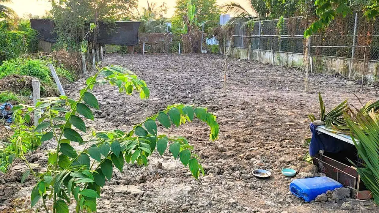 for sale 300m2 residential land with car accessibility