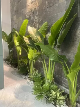 Hue