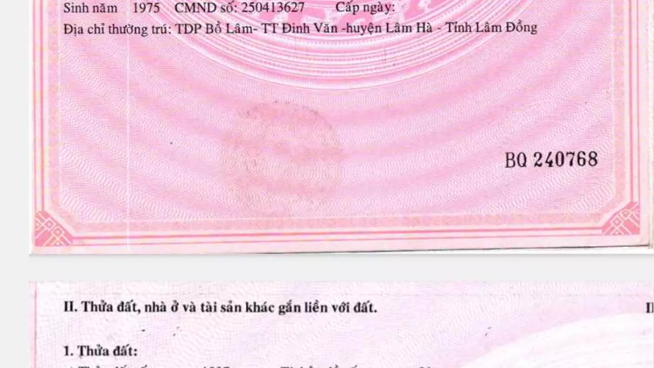 Lam Ha