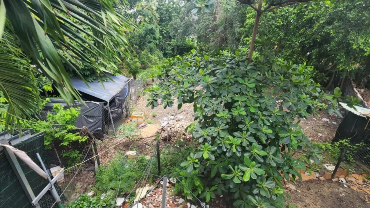 Thu Duc