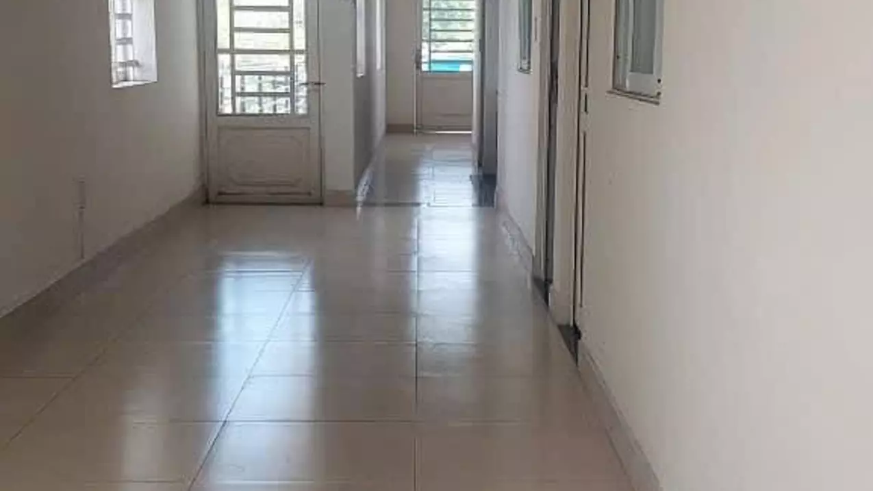 Ben Cat