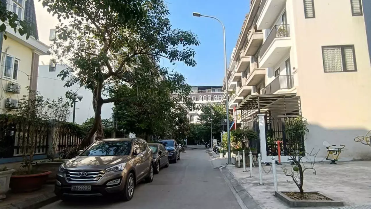 Hoang Mai