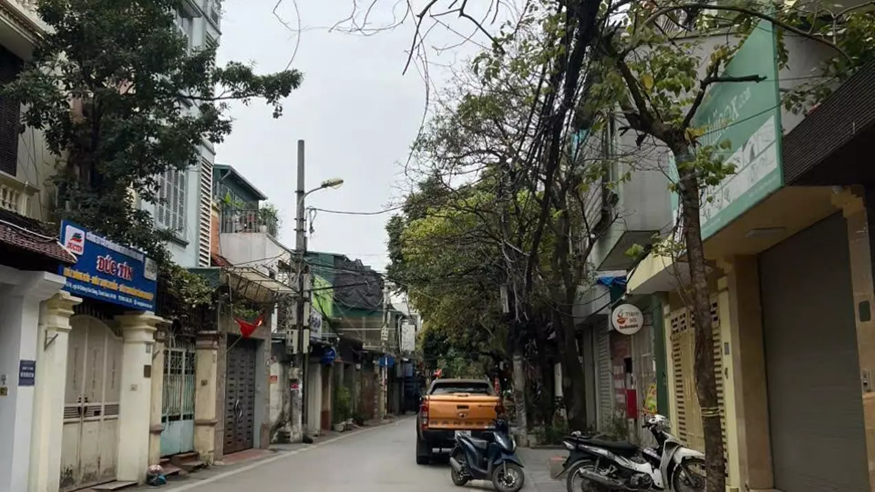 Hoang Mai