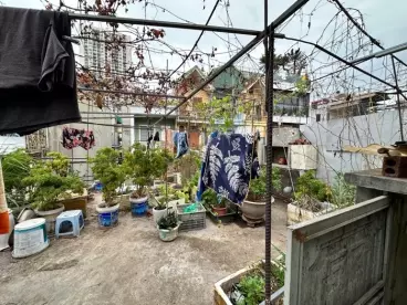 Hoang Mai