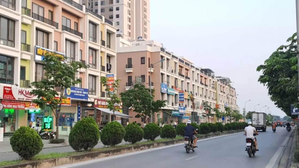 Thanh Tri