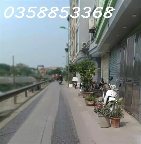 Thanh Tri