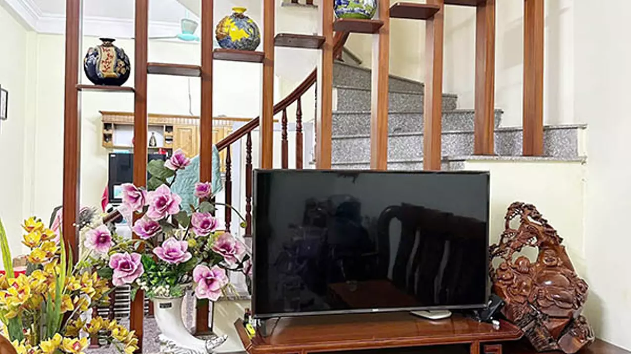 Thanh Tri