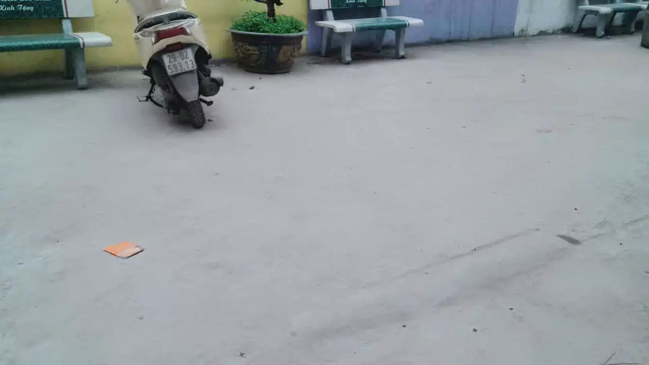 Thanh Tri
