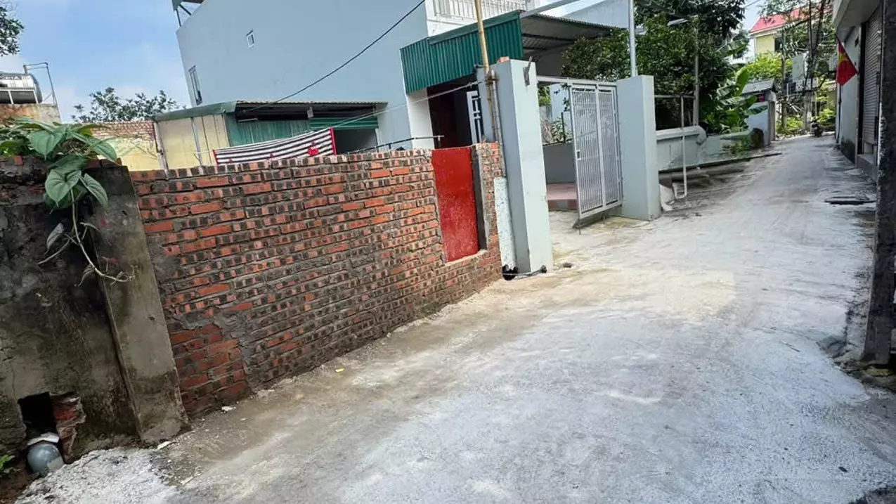 Dong Anh