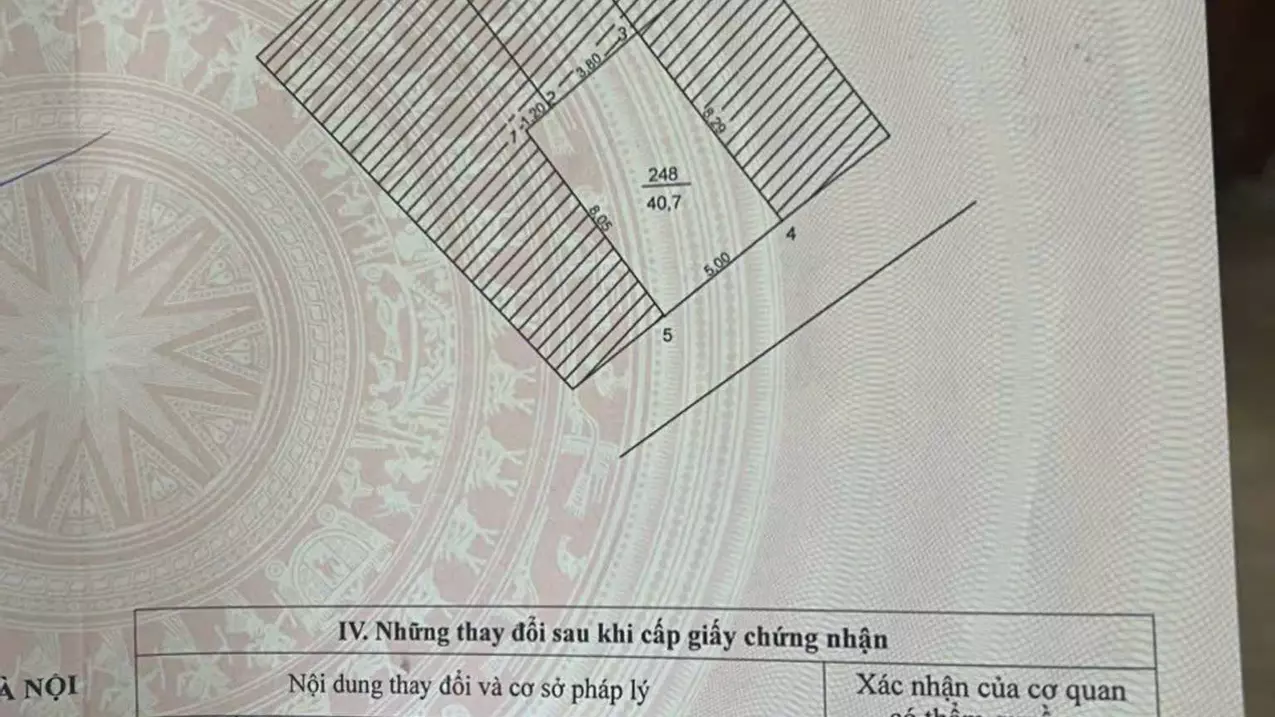 Thanh Tri