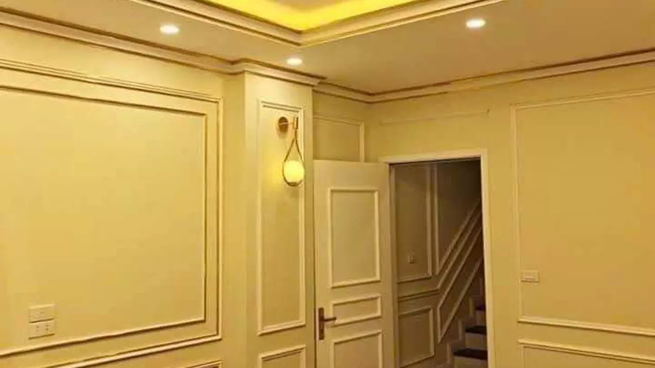 Nam Tu Liem