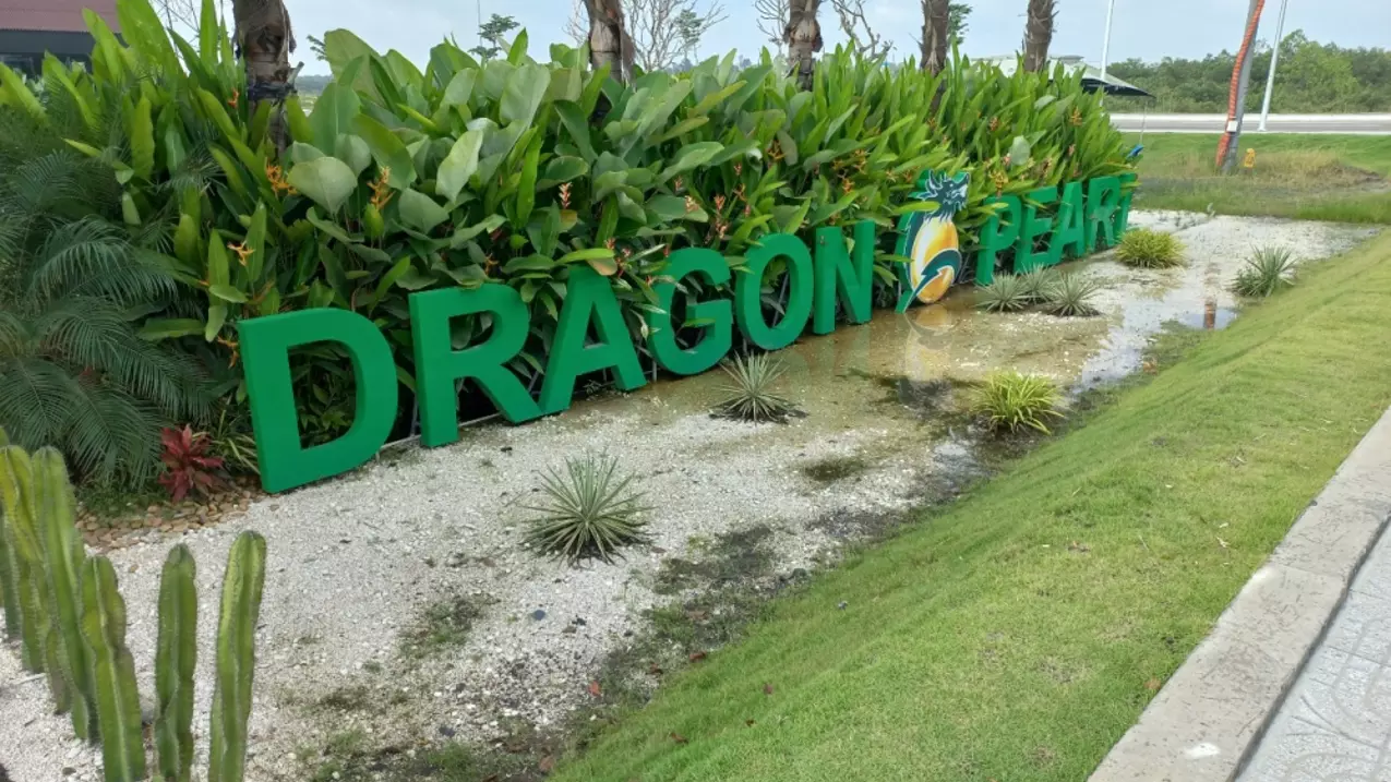 Duc Hoa