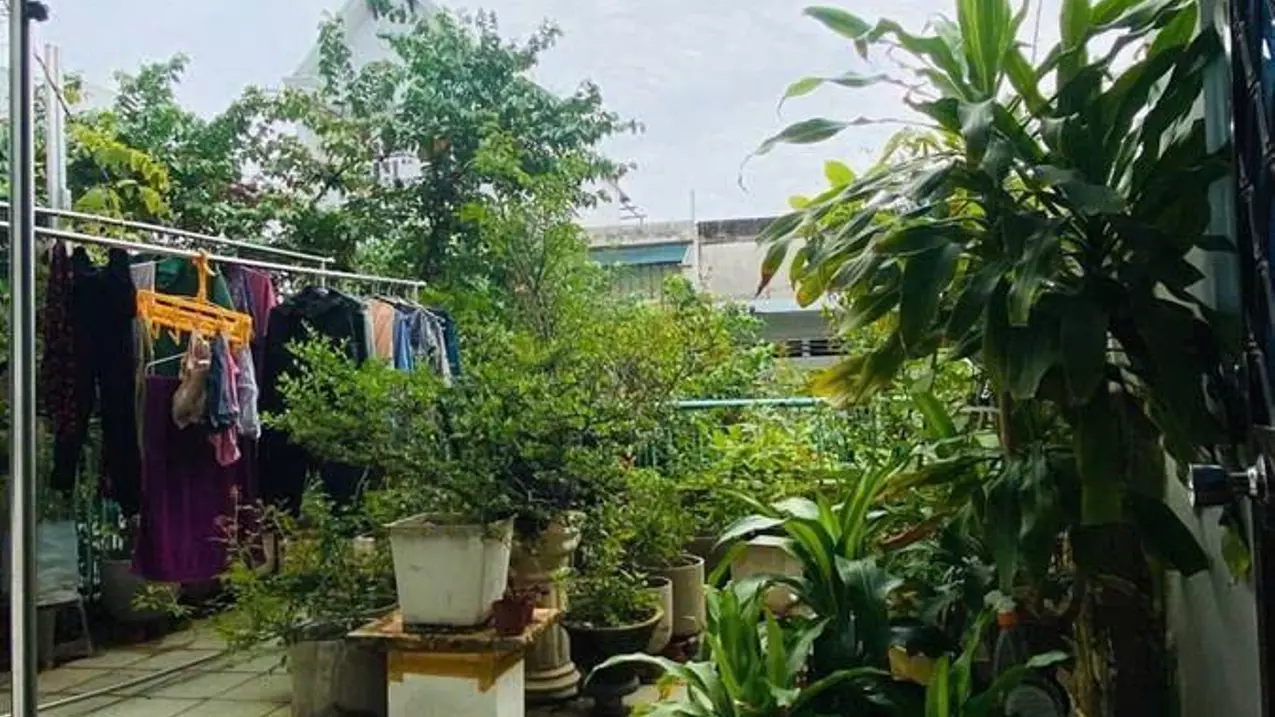 Tan Binh