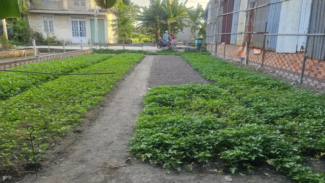 quick sale of beautiful lot of land with car need - good price in binh chanh.