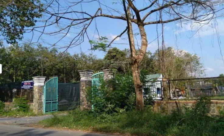 Cu Chi