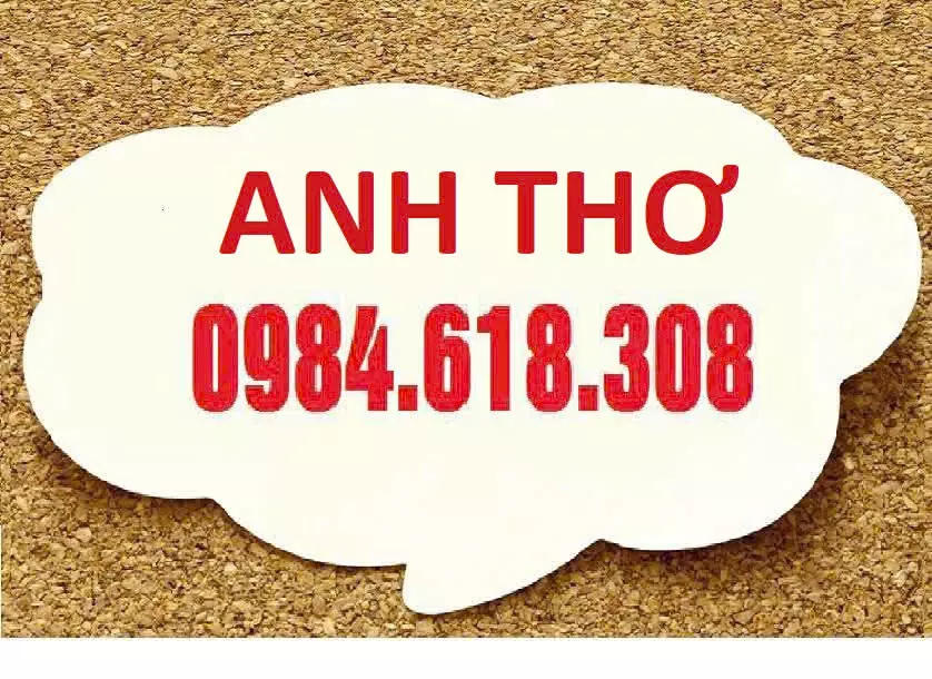 Nam Tu Liem