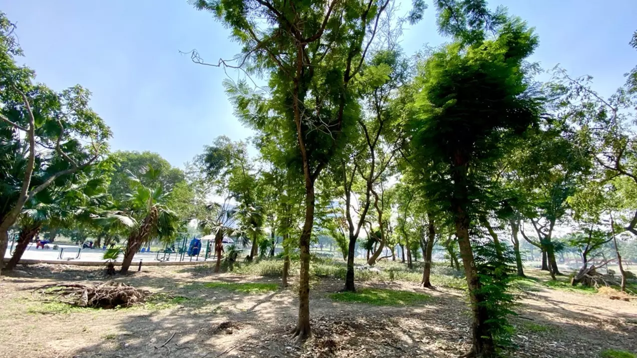 Hoang Mai