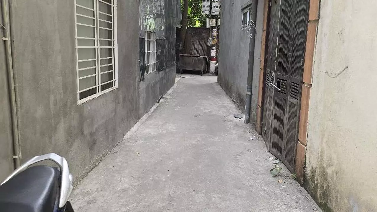 Hoang Mai