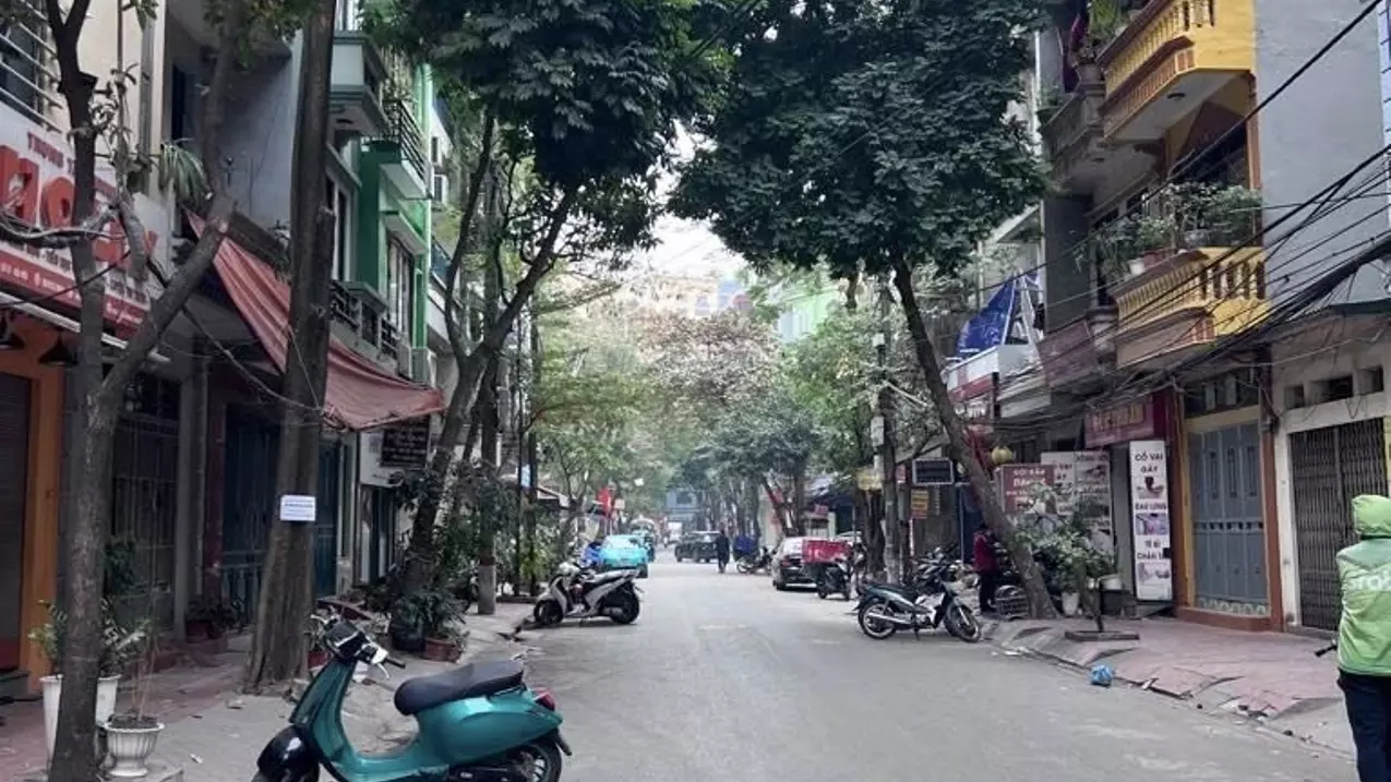 Hoang Mai
