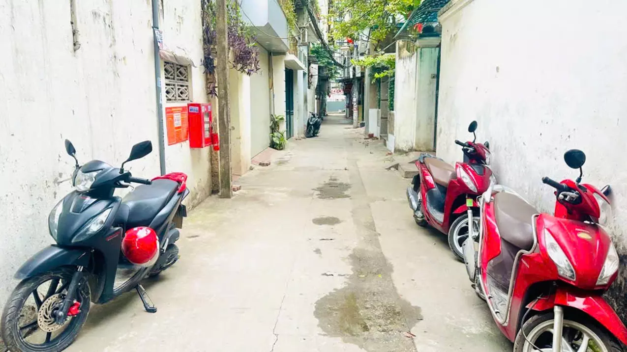 Hoang Mai
