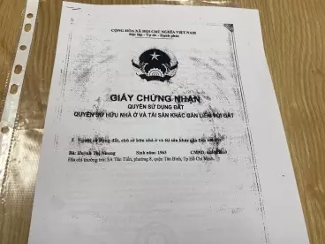 Tan Binh