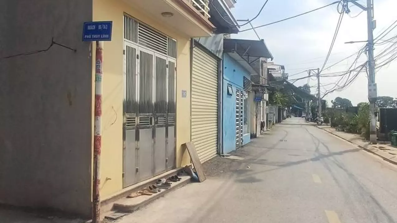 Hoang Mai