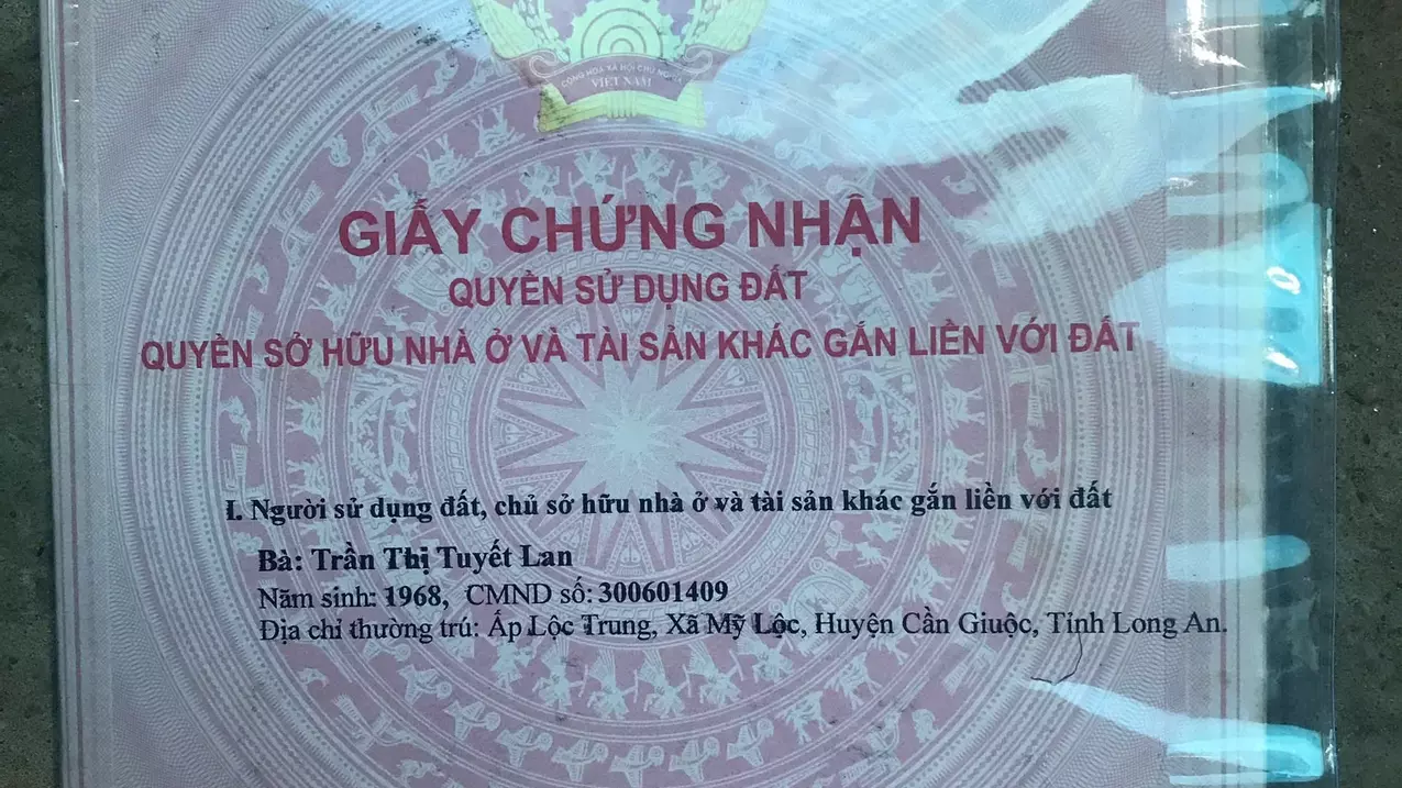 Can Giuoc