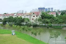 Tay Ho