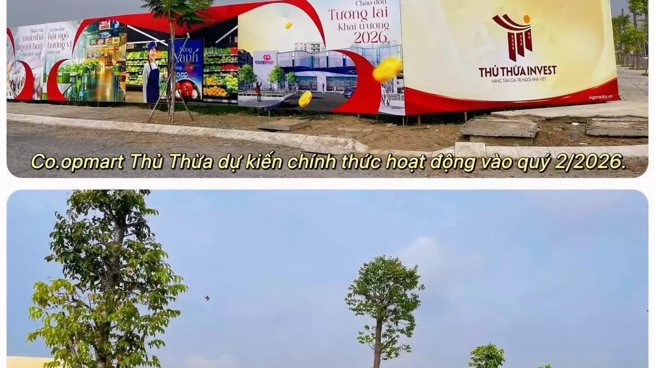 Thu Thua