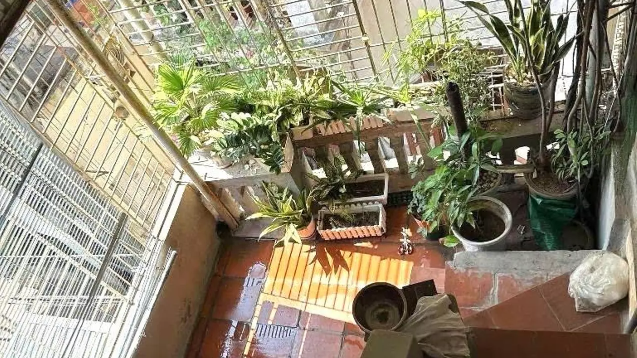Hoang Mai