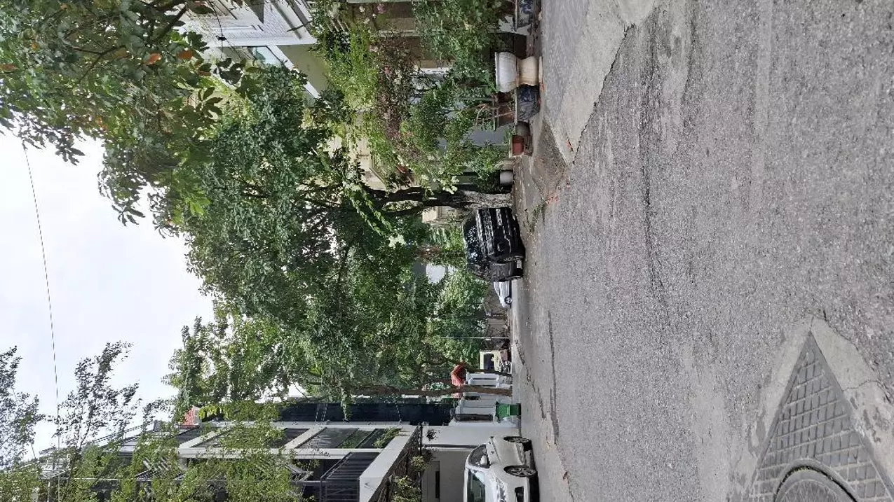Nam Tu Liem