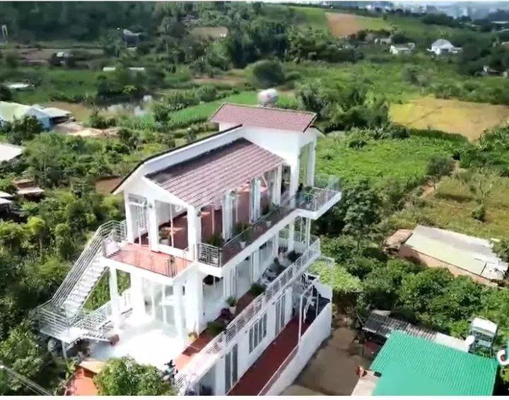 Lam Ha