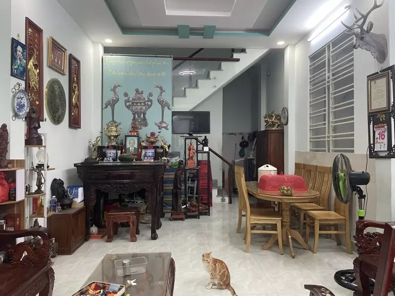 Tan Phu