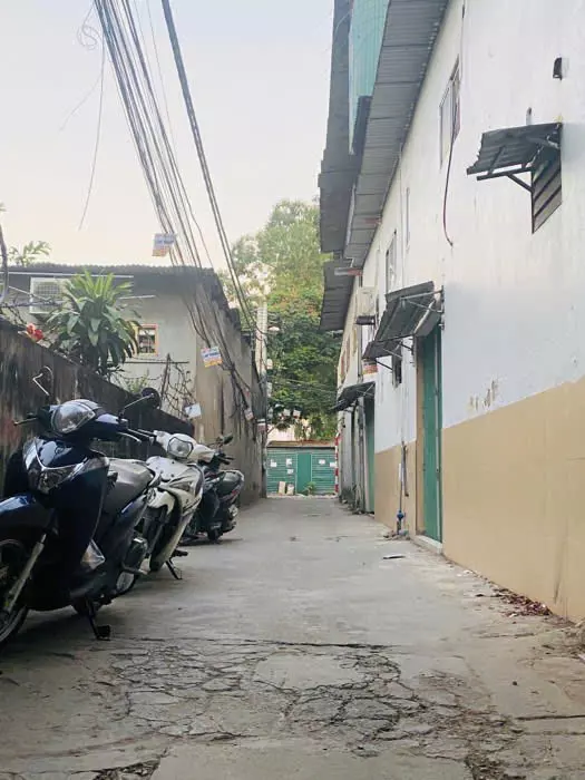 Hoang Mai