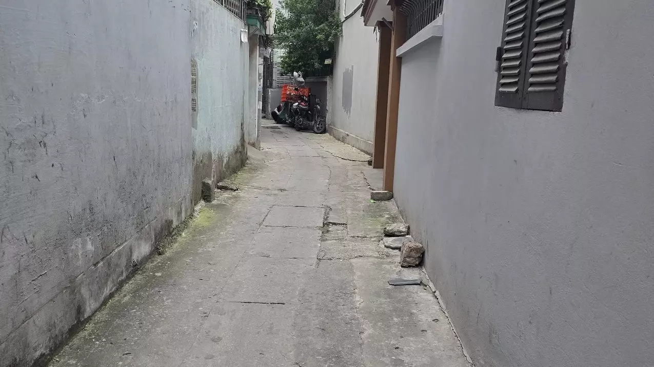 Hoang Mai