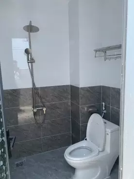 house for sale in ben phu lam alley, ward 9, district 6