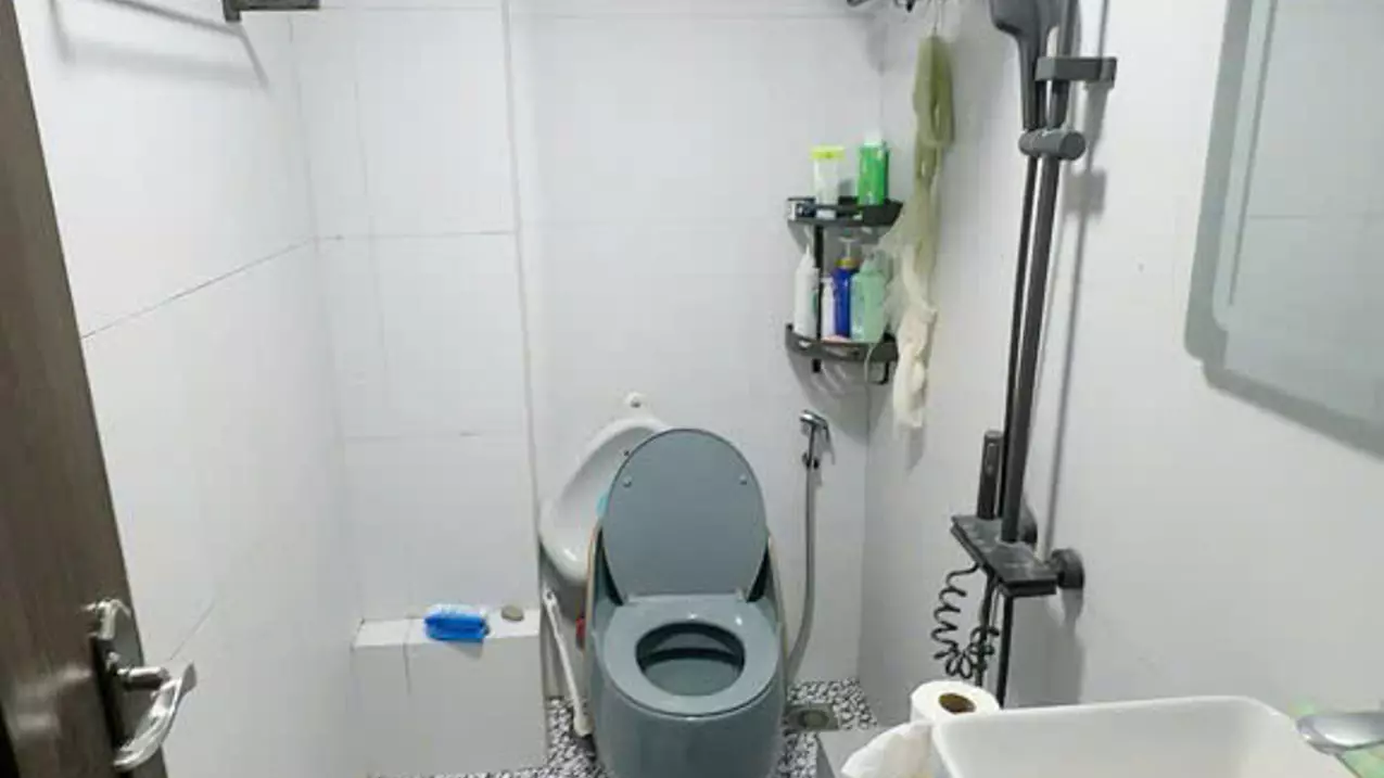 Ha Dong