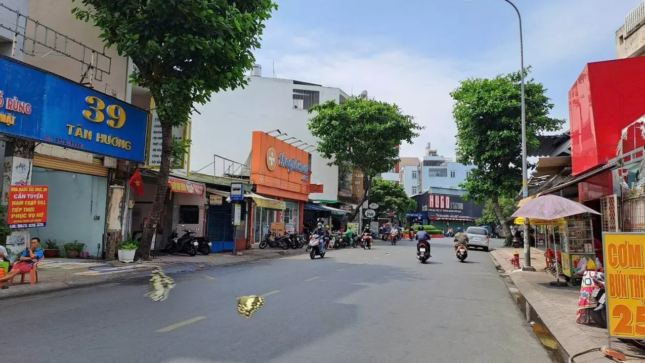 Tan Phu