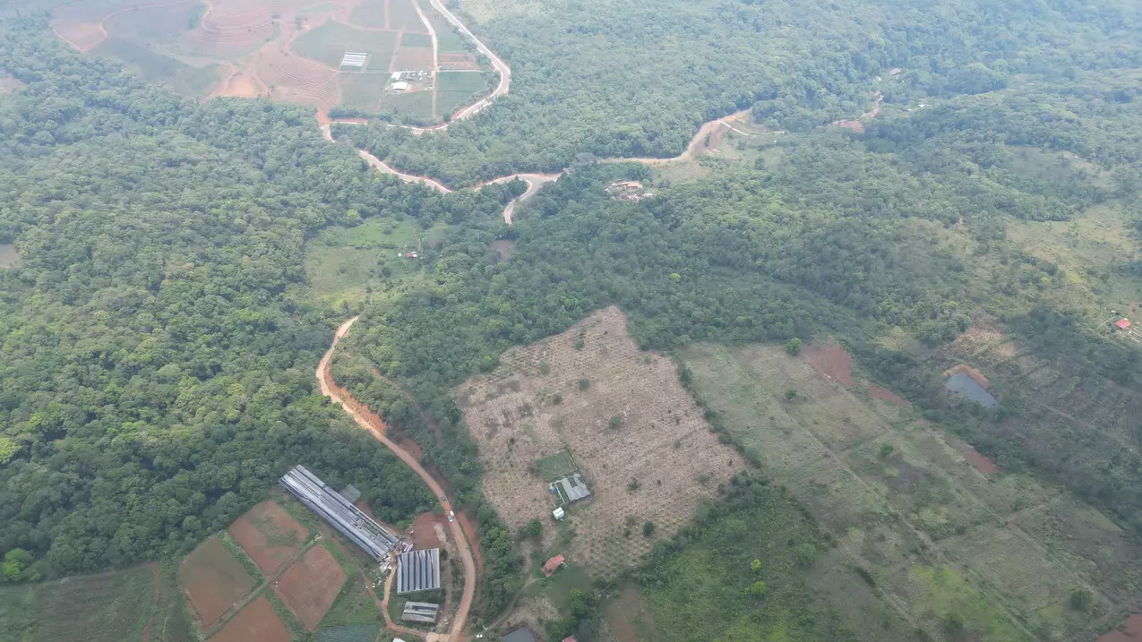 how much will you pay to get this 5 hectares of golden land?