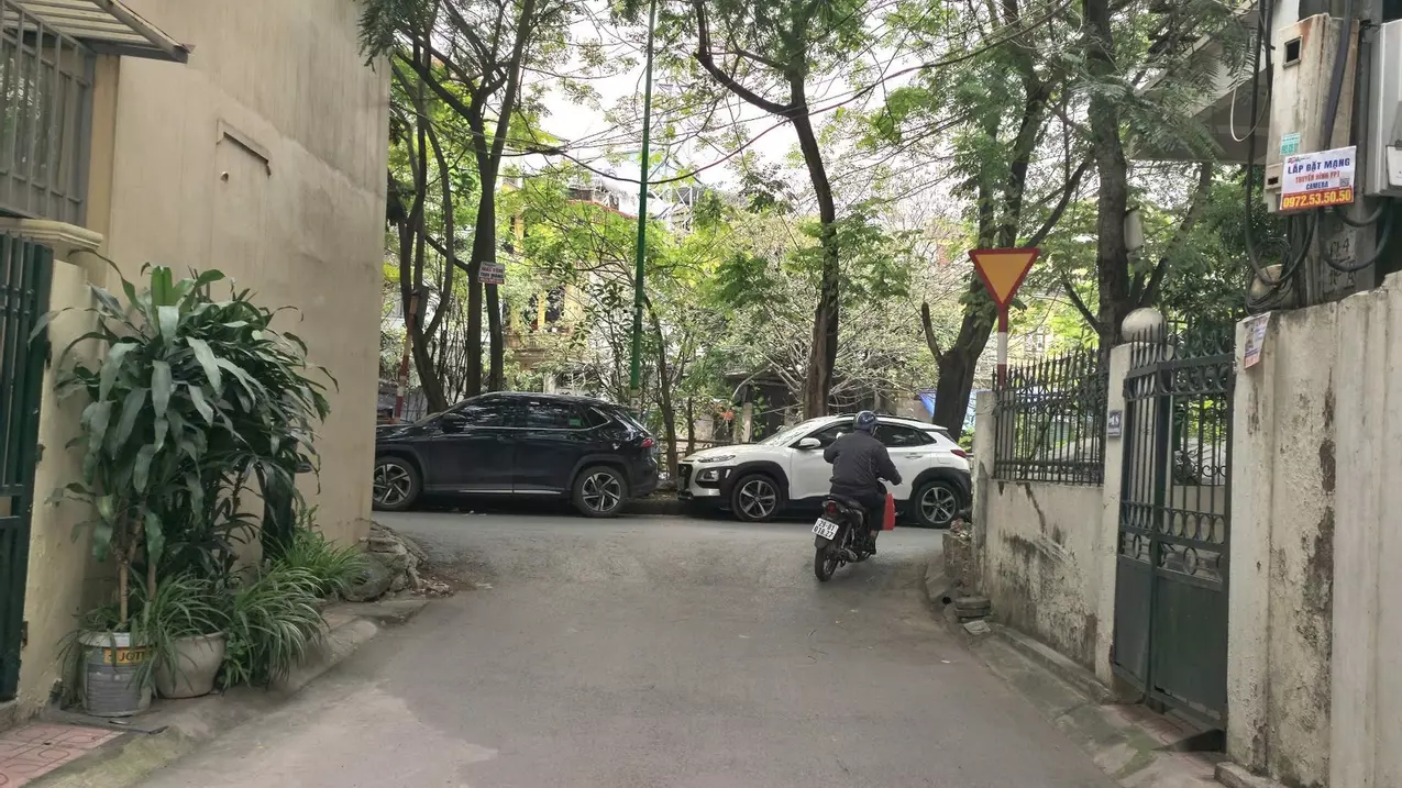 Hoang Mai