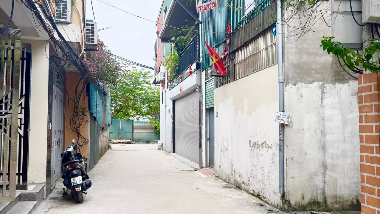 Hoang Mai