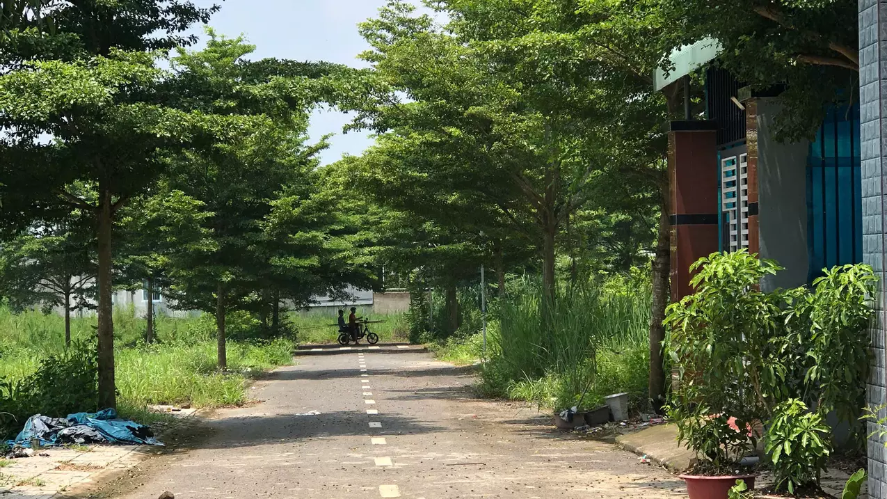 Trang Bom