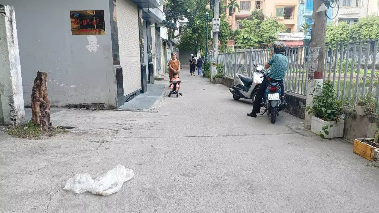 Hoang Mai