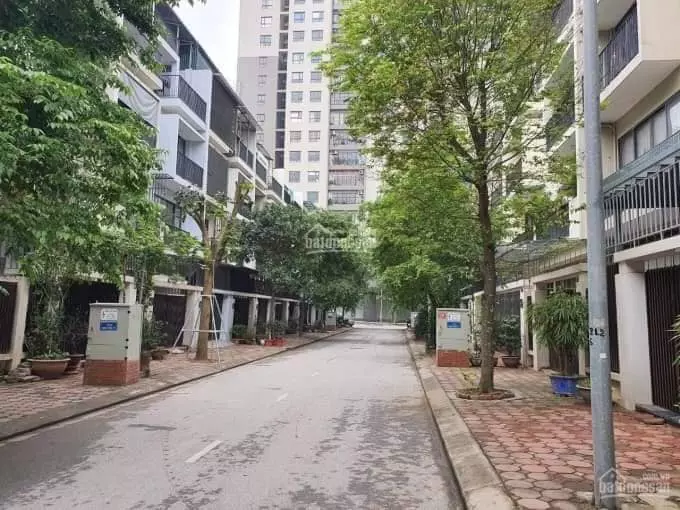 Nam Tu Liem