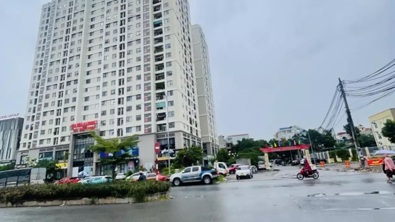 Hoang Mai