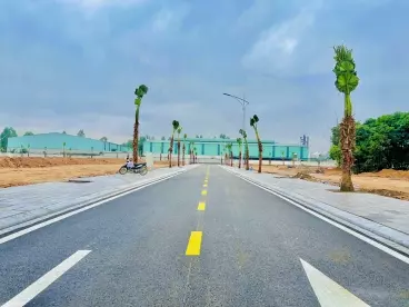 Viet Tri