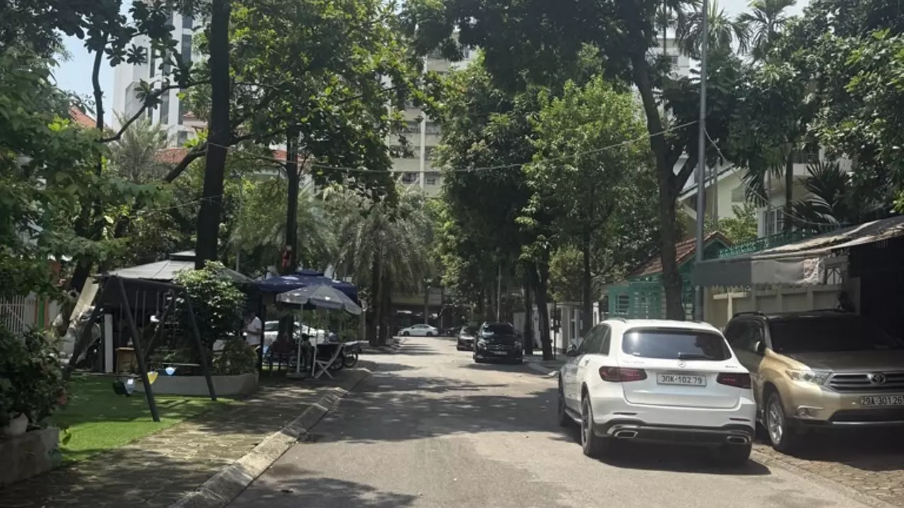 Hoang Mai