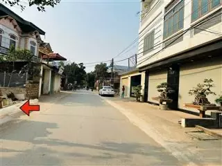 Hoang Mai