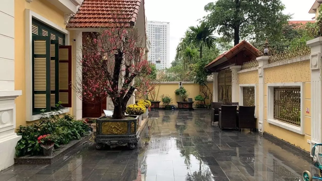 Hoang Mai
