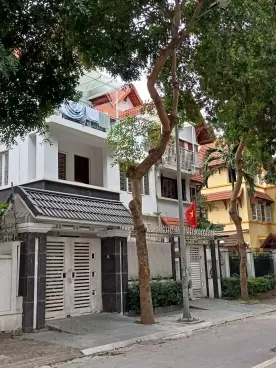 Hoang Mai
